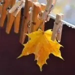 دانلود آهنگ تو که از اولشم جای من یکی دیگه توی قلبت بود “هوش مصنوعی” از هایده